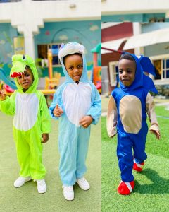 created by photogrid